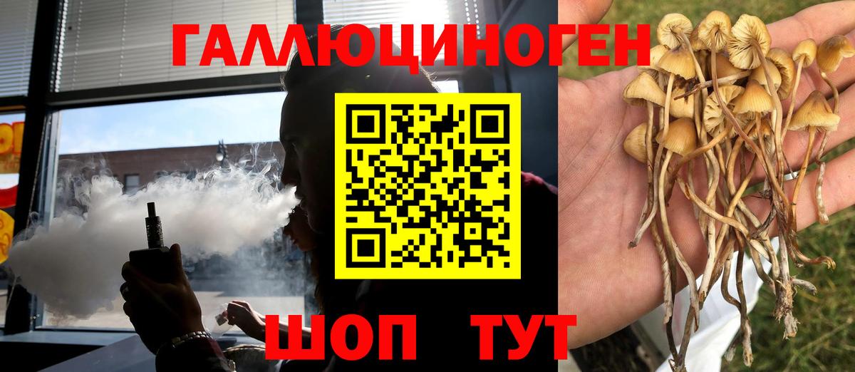 Псилоцибиновые грибы MAGIC MUSHROOMS  Вход с VPN  Асбест 
