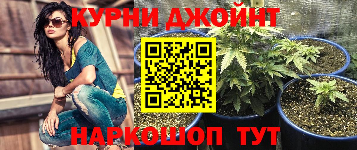 МАРИХУАНА гибрид  Бошки Шишки планчик  Канабис марихуана  МАРИХУАНА ГИДРОПОН  Вход с VPN  Асбест 